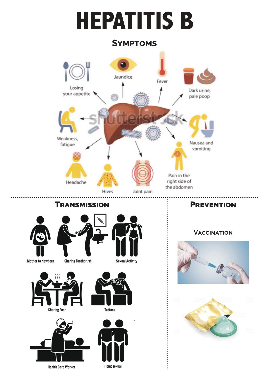 HepatitisB